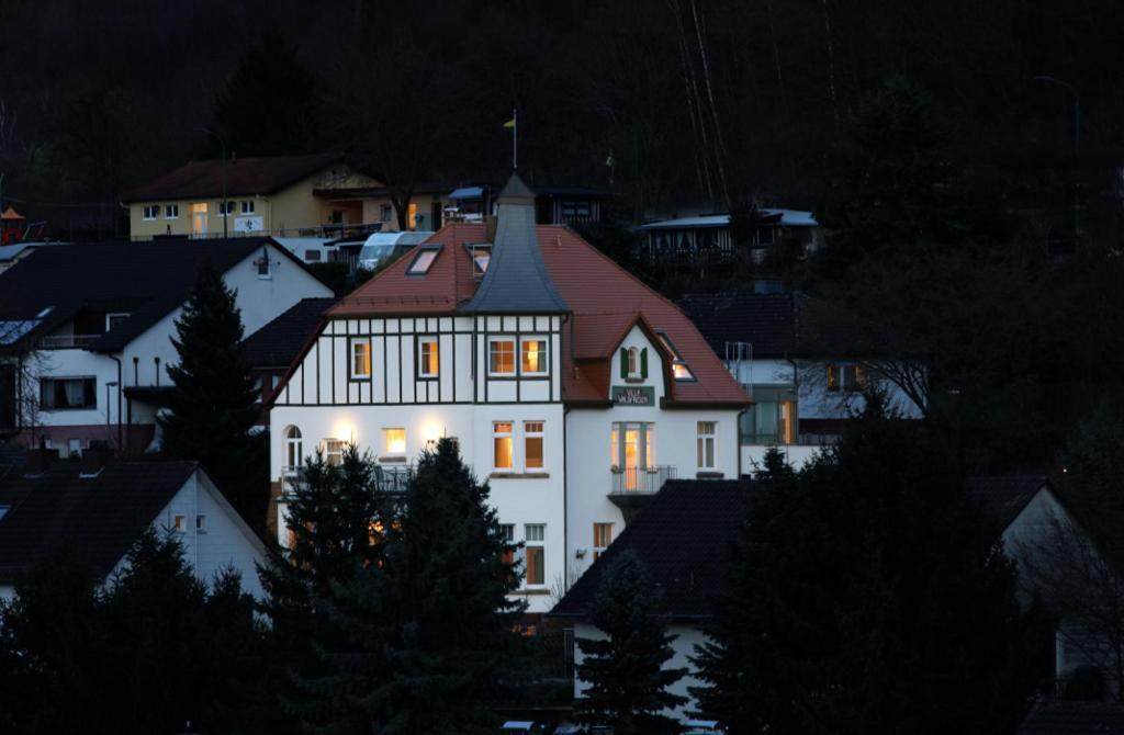 Villa Waldfrieden - Design Trifft Budget Annweiler am Trifels Exterior foto